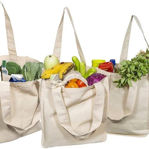 Grocery Bags 1